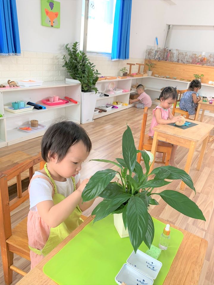 Casapanda kindergarten ảnh 1