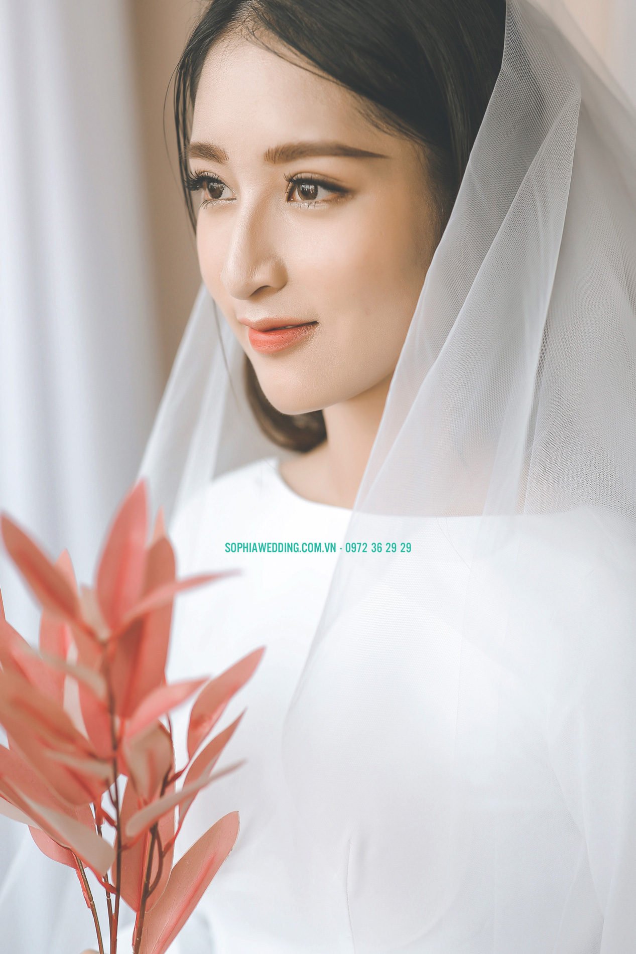 Sophia Wedding ảnh 1