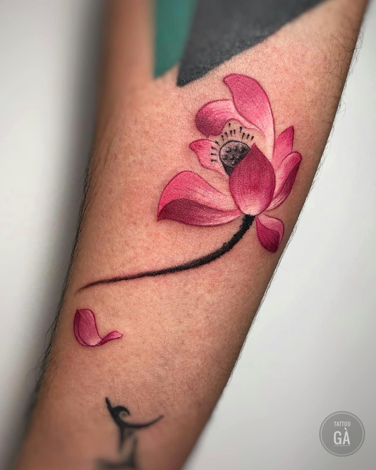 Tattoo Gà ảnh 2