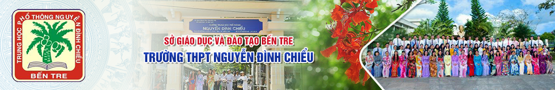 Trường THPT Nguyễn Đình Chiểu ảnh 1