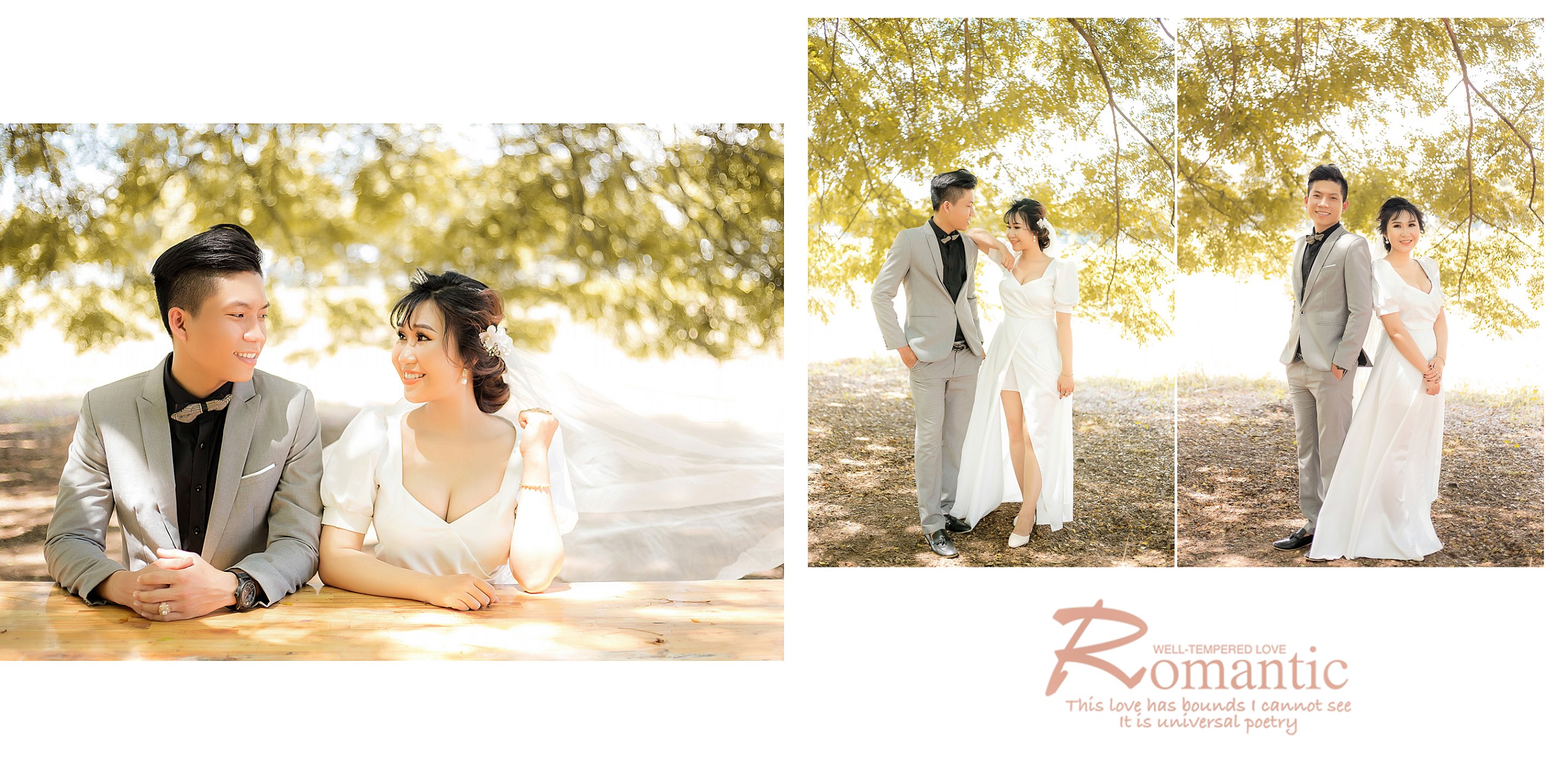 Wedding - Studio PHAN NGUYEN ảnh 2