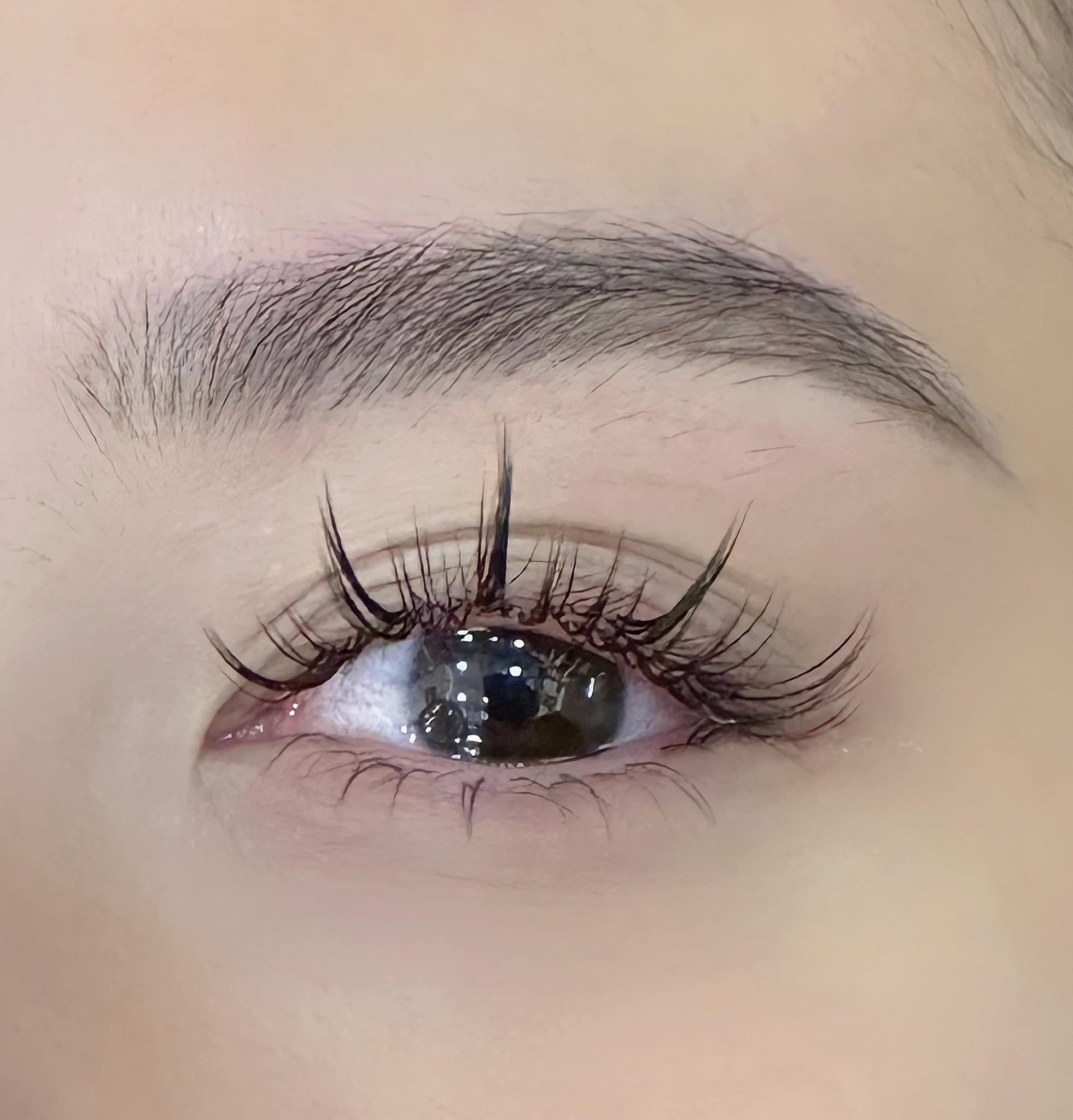 AIVAN Eyelash ảnh 1