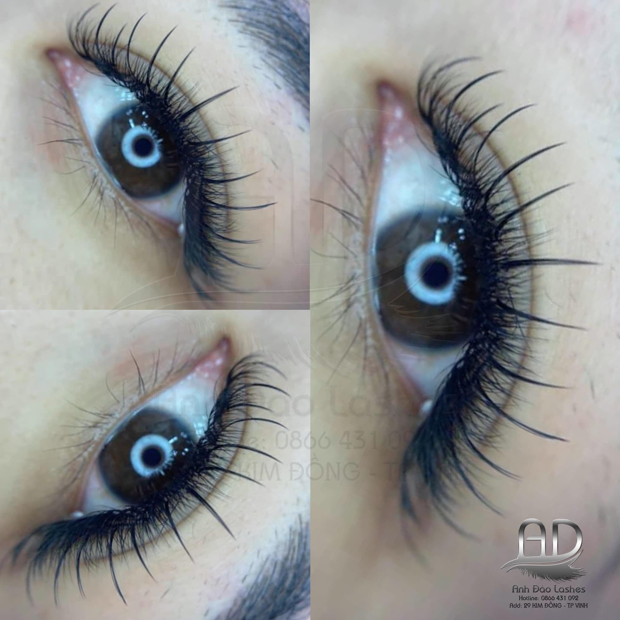 Anh Đào Lashes ảnh 1