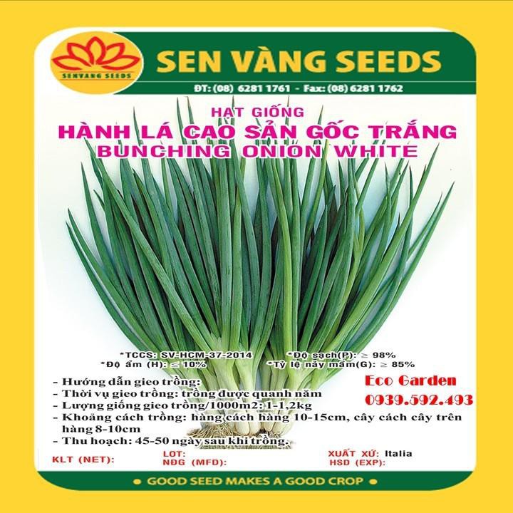 CÔNG TY HẠT GIỐNG SEN VÀNG ảnh 1