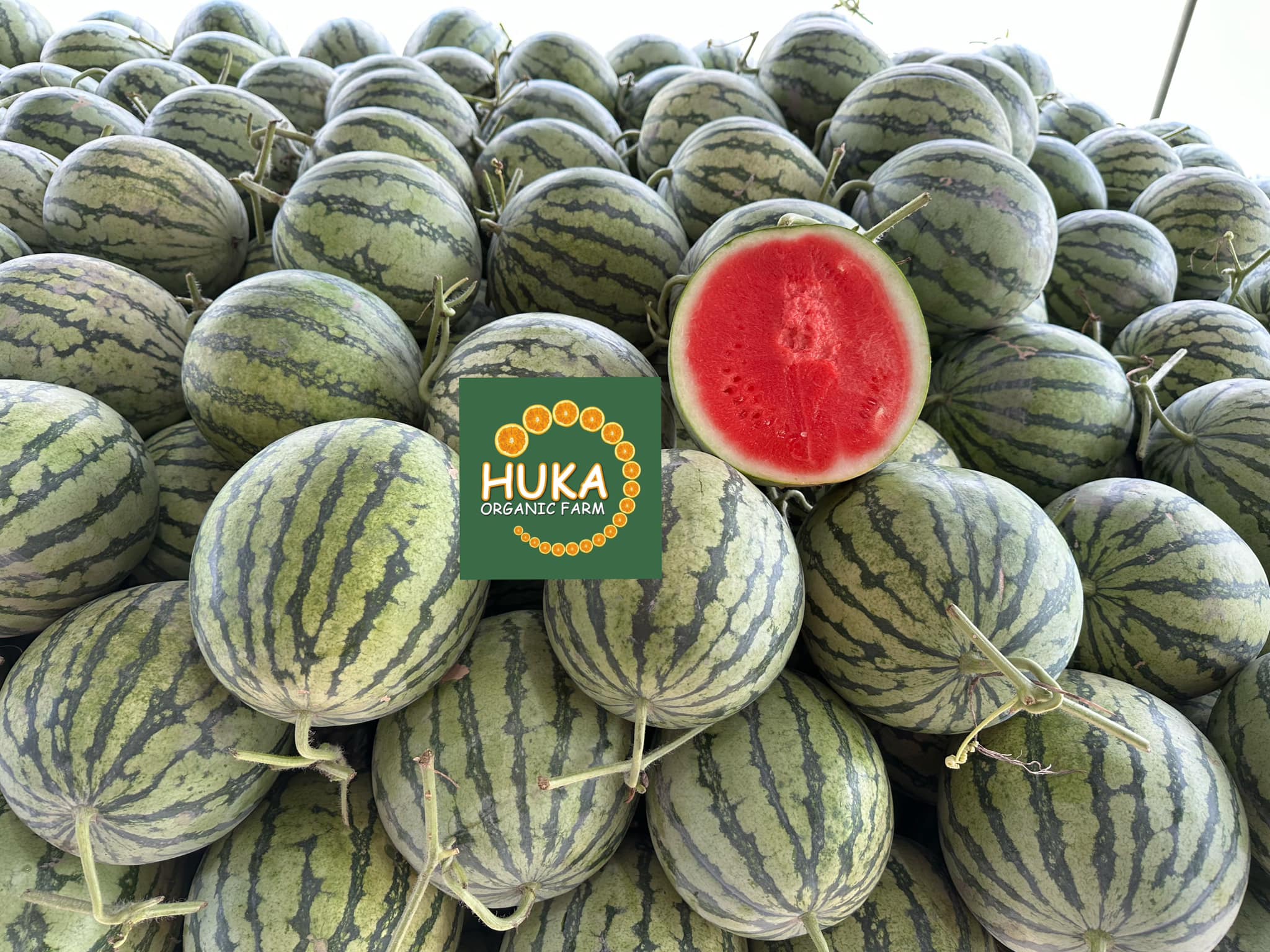 Huka Organic Farm ảnh 1