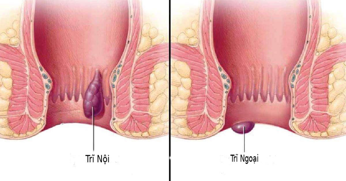 PGS.TS Trần Văn Phơi ảnh 2