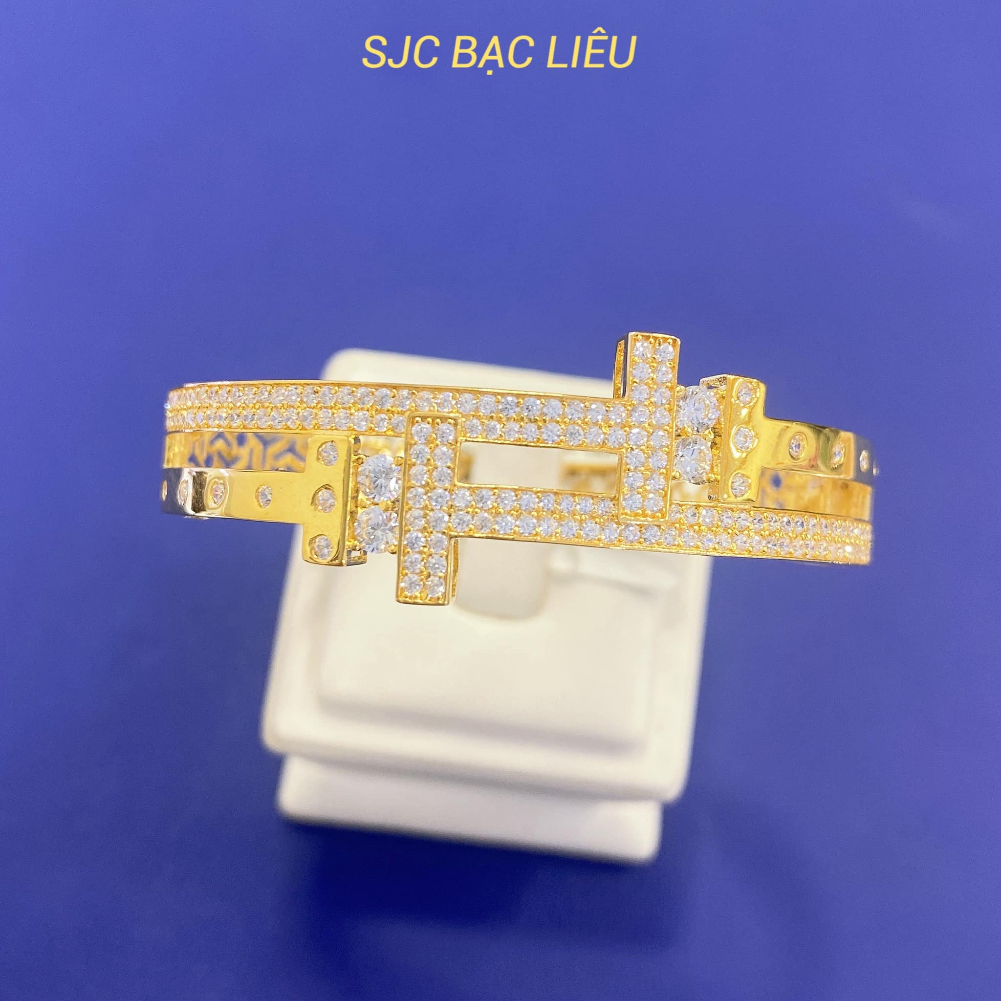 SJC Bạc Liêu ảnh 1