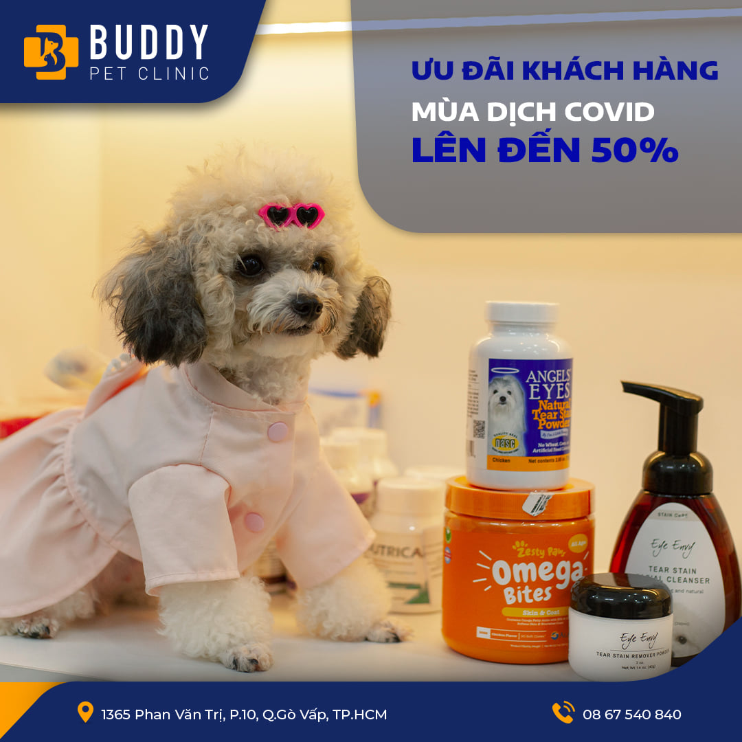 Thú Y Buddy Pet ảnh 2