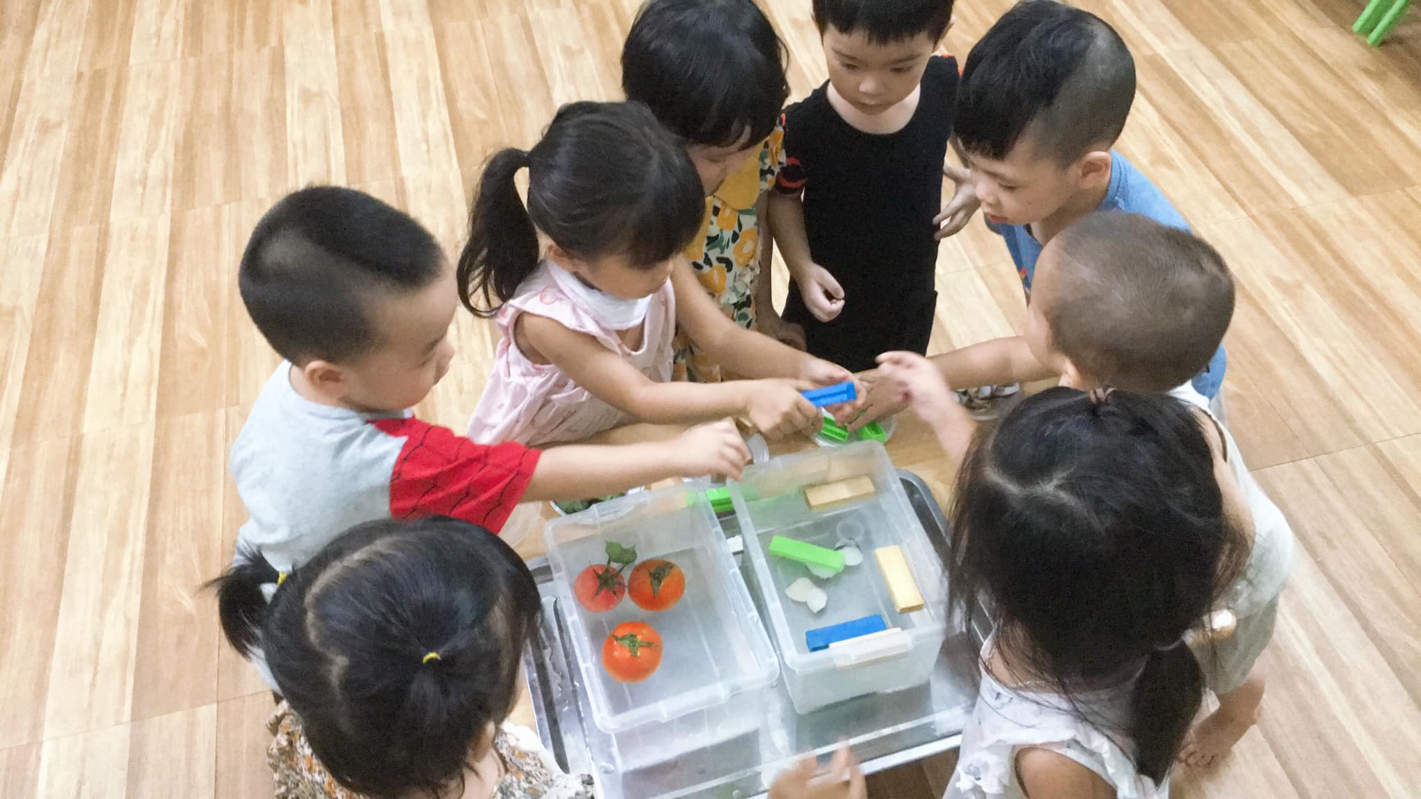 Trường Mầm non An Tảo ảnh 2