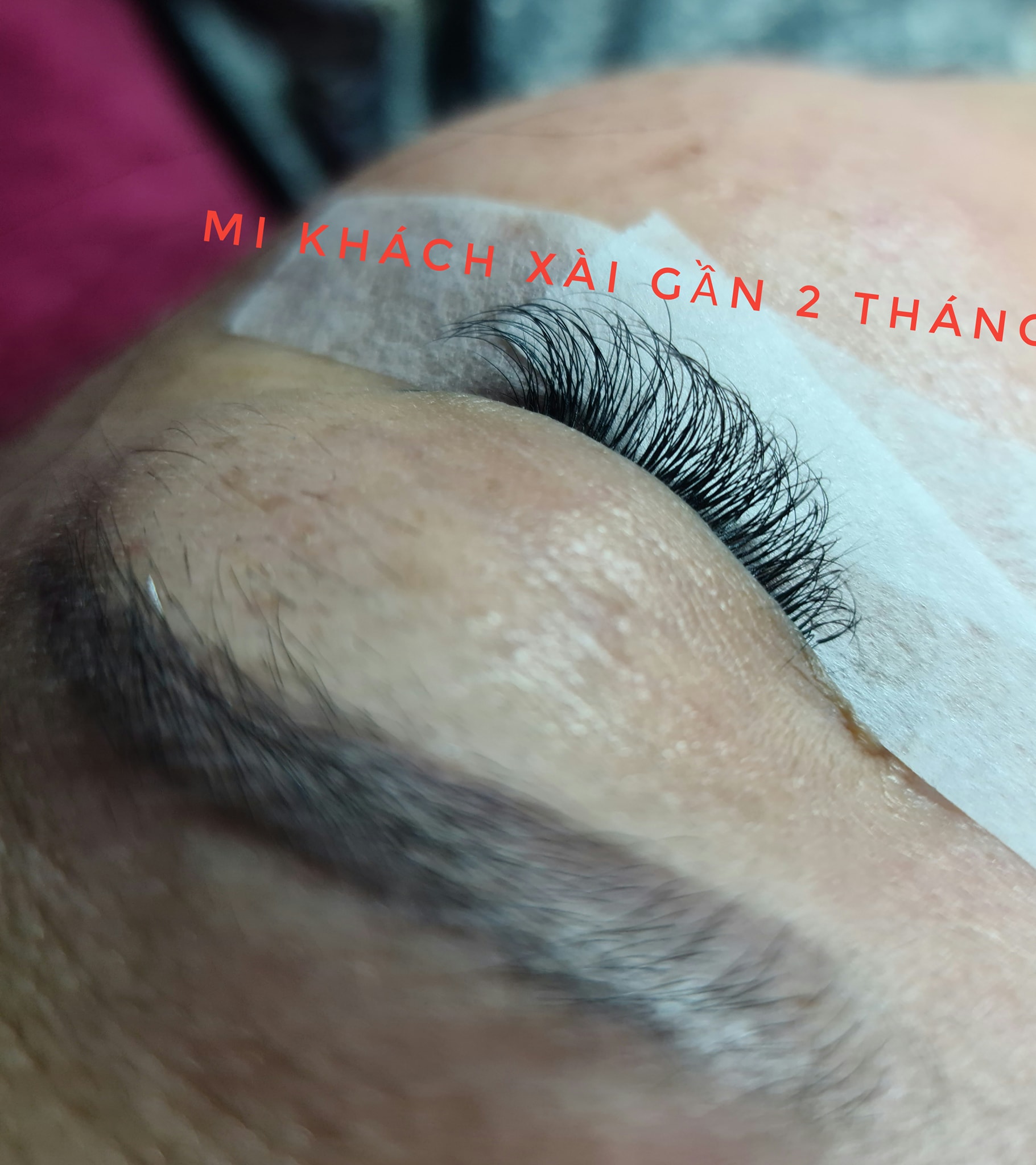 Tú Anh Eyelash ảnh 2