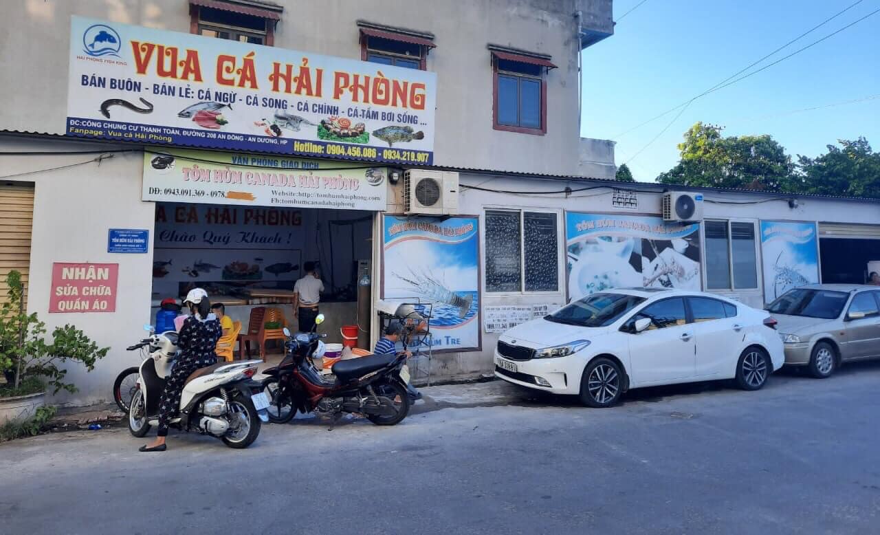 Vua Cá Hải Phòng ảnh 1