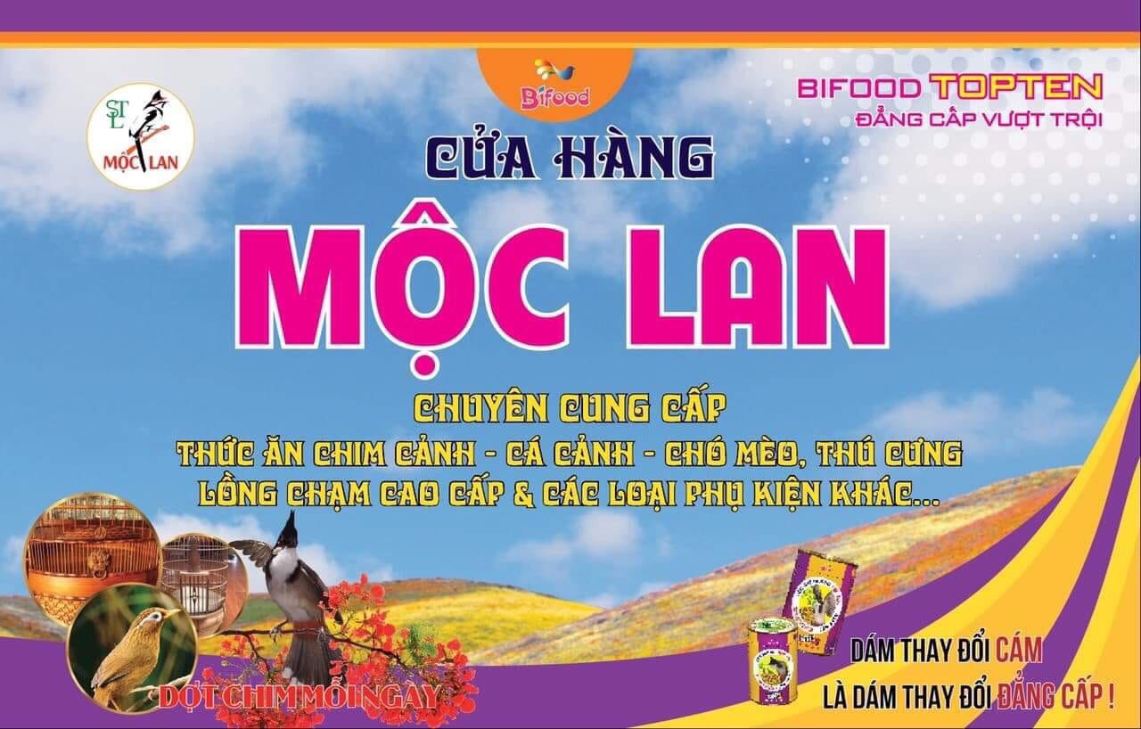 Chim Cảnh Mộc Lan ảnh 2