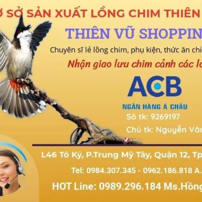 Chim cảnh - Vẹt Cảnh - PetXinh.net Nhím Kiểng Hamster Thỏ Bọ Ú giá rẻ