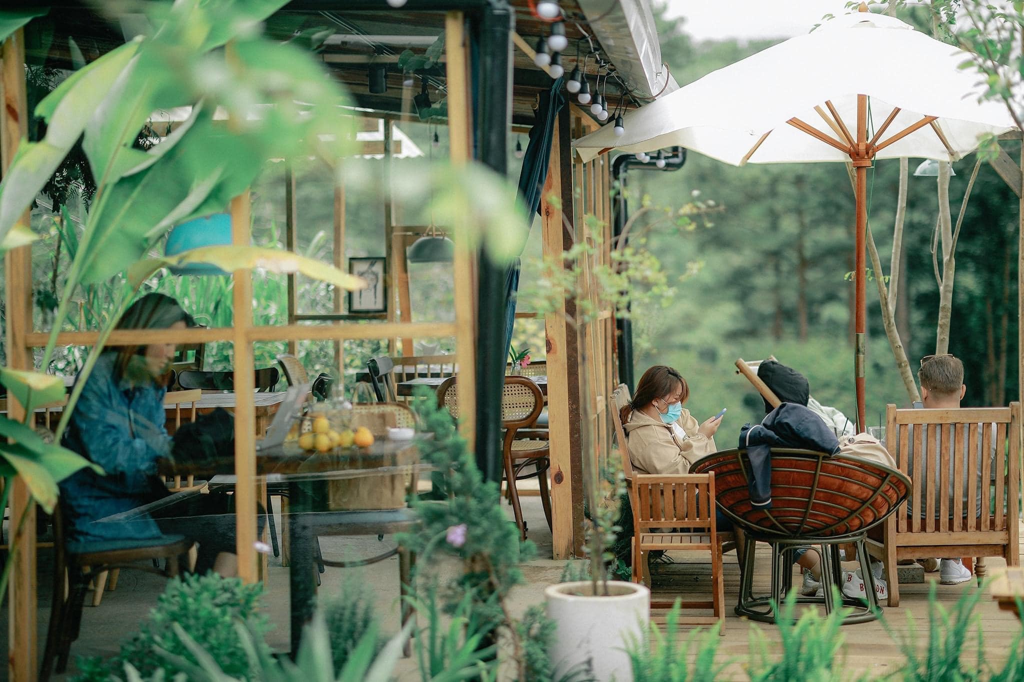 In The Forest Đà Lạt ảnh 1