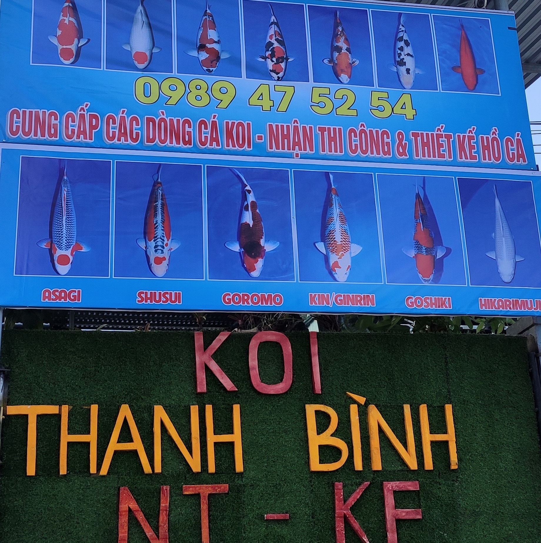 Koi Thanh Bình ảnh 2