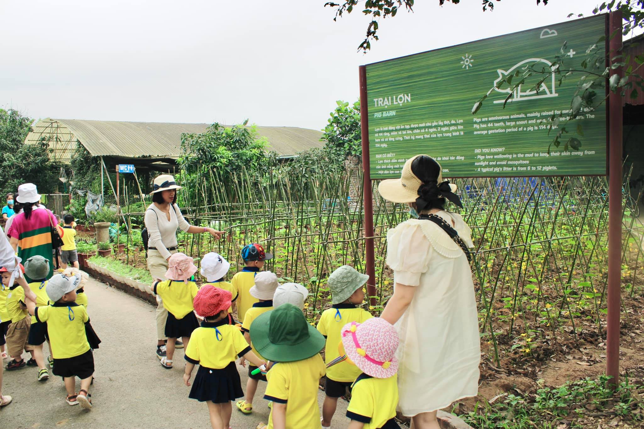 Trường mầm non Năng Ban Mai ( Morning Sunshine Preschool ) ảnh 2