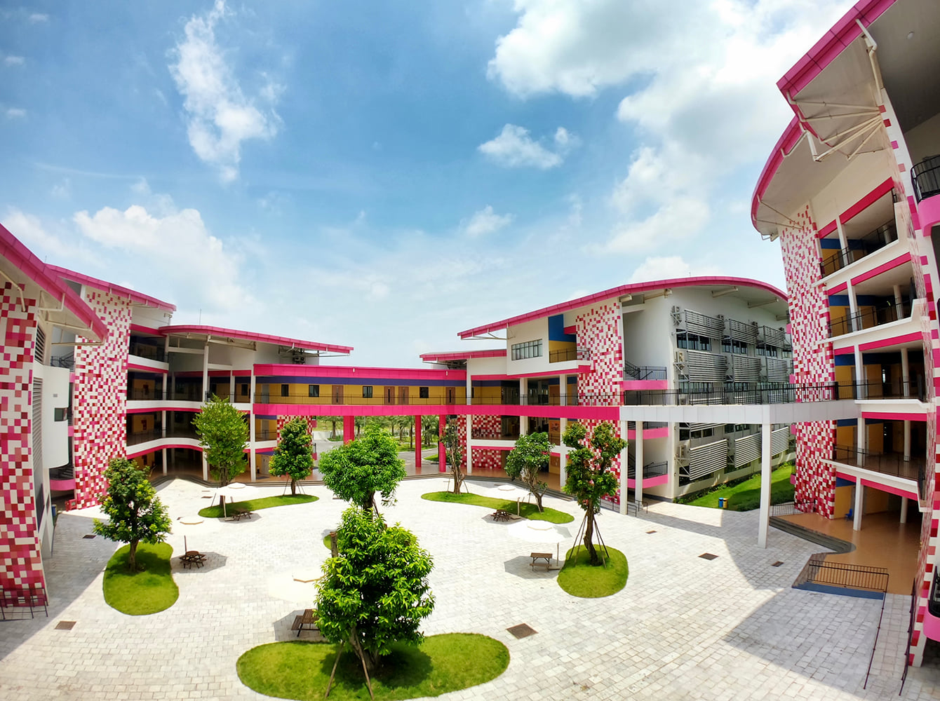 TH School ảnh 2