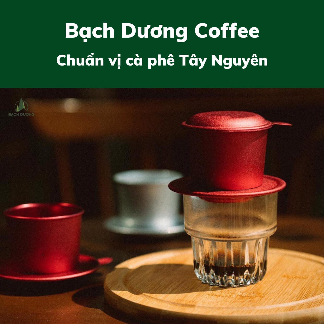 Bạch Dương Coffee & Bistro ảnh 3