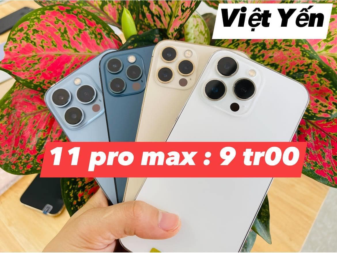 Di Động Việt Yến ảnh 1