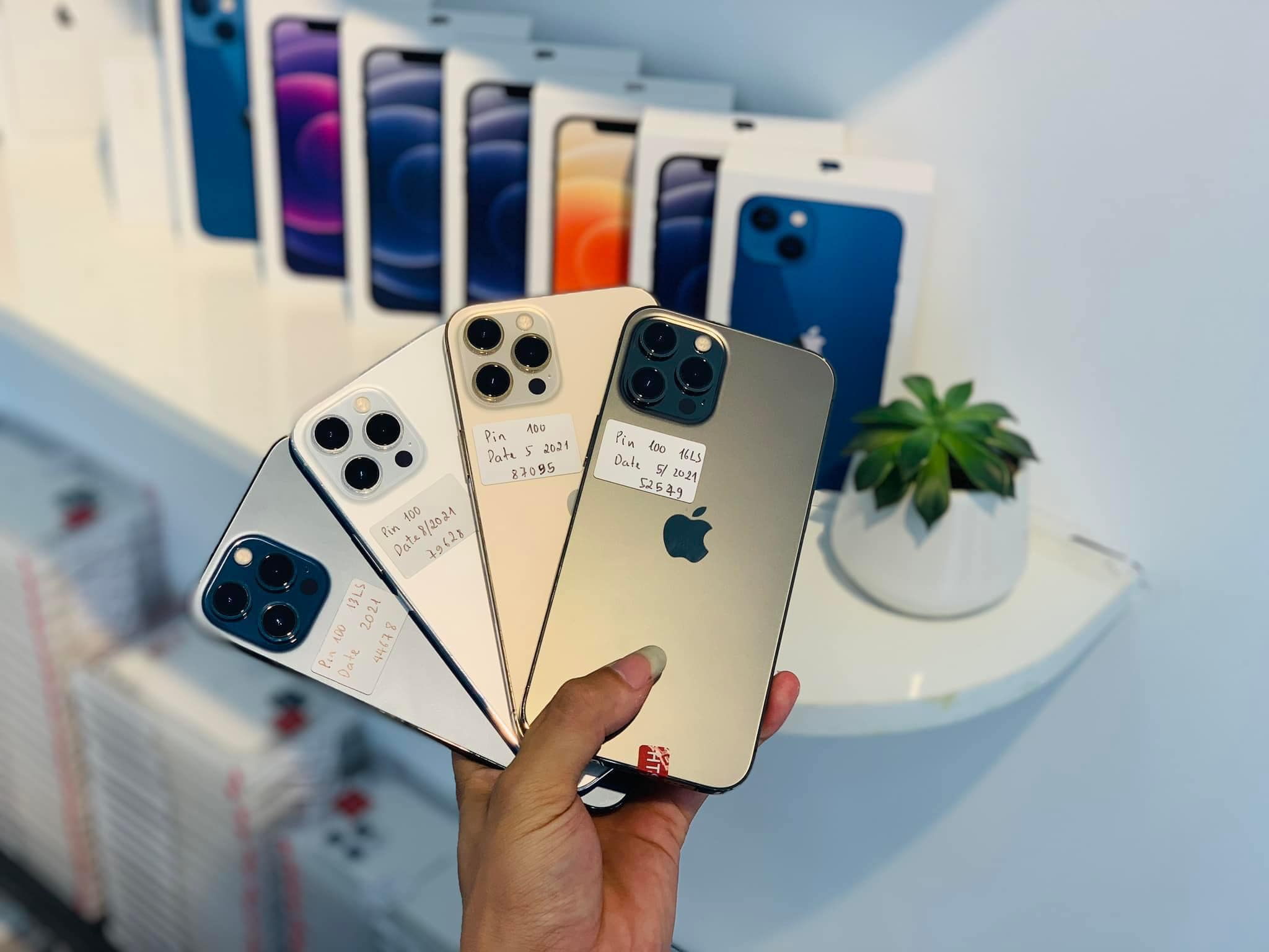 HÀ TÚ Mobile ảnh 2