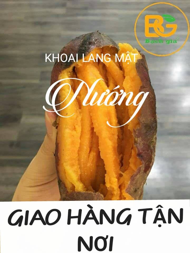 Khoai Lang Mật AT ảnh 3