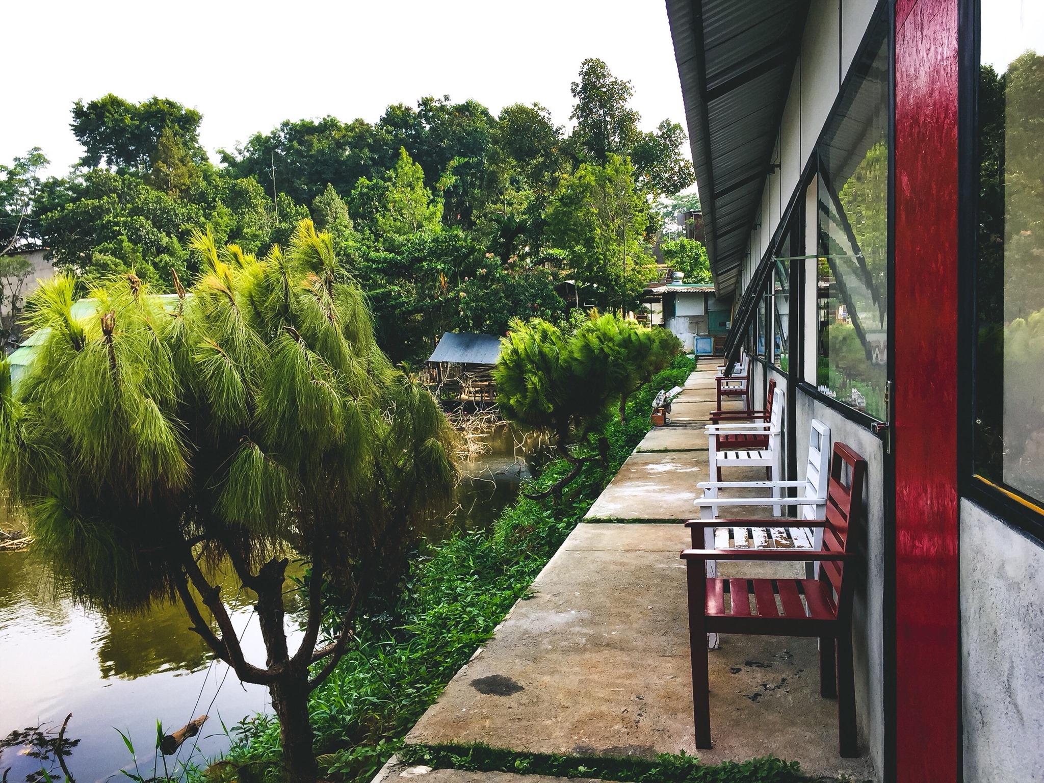 Nhà hàng/Homestay BIỂN RỪNG ảnh 1