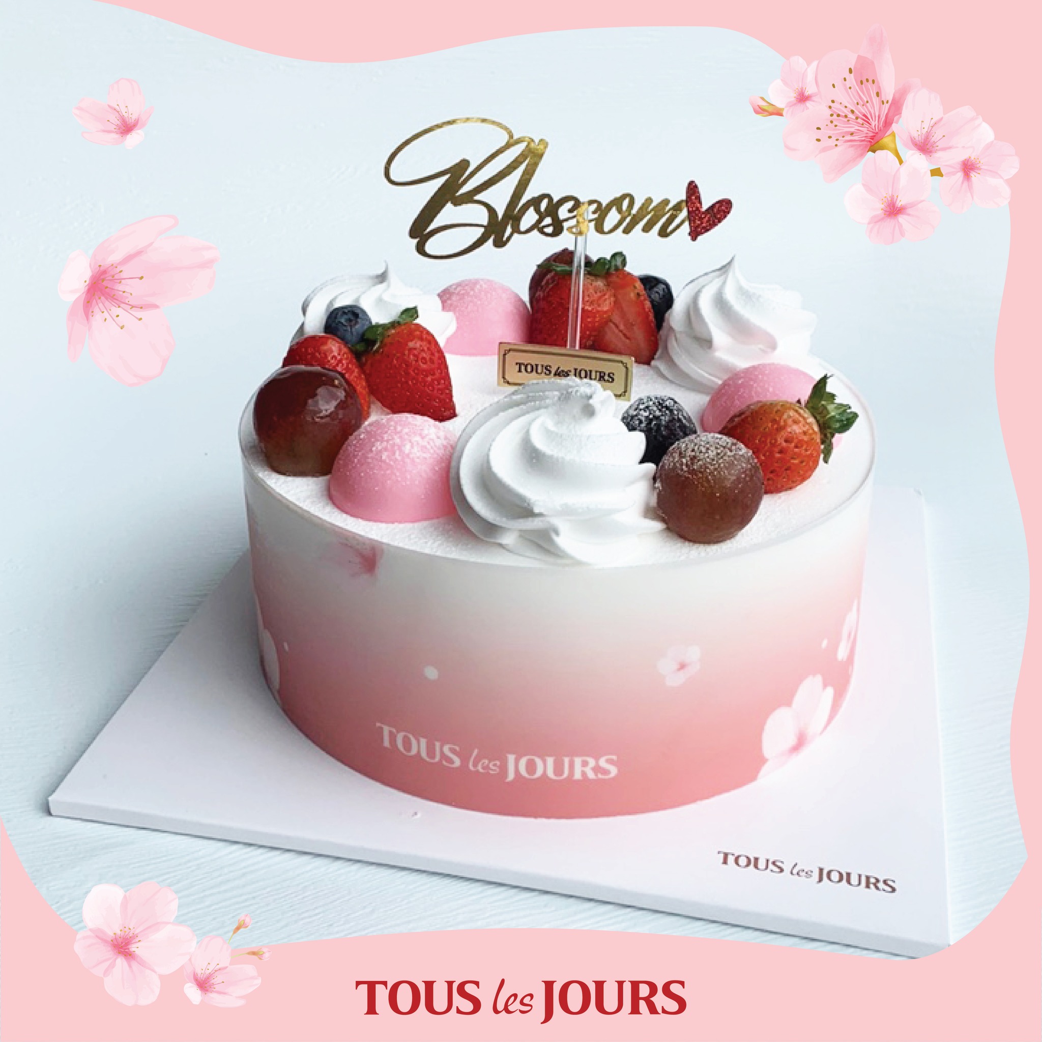 TOUS les JOURS ảnh 3