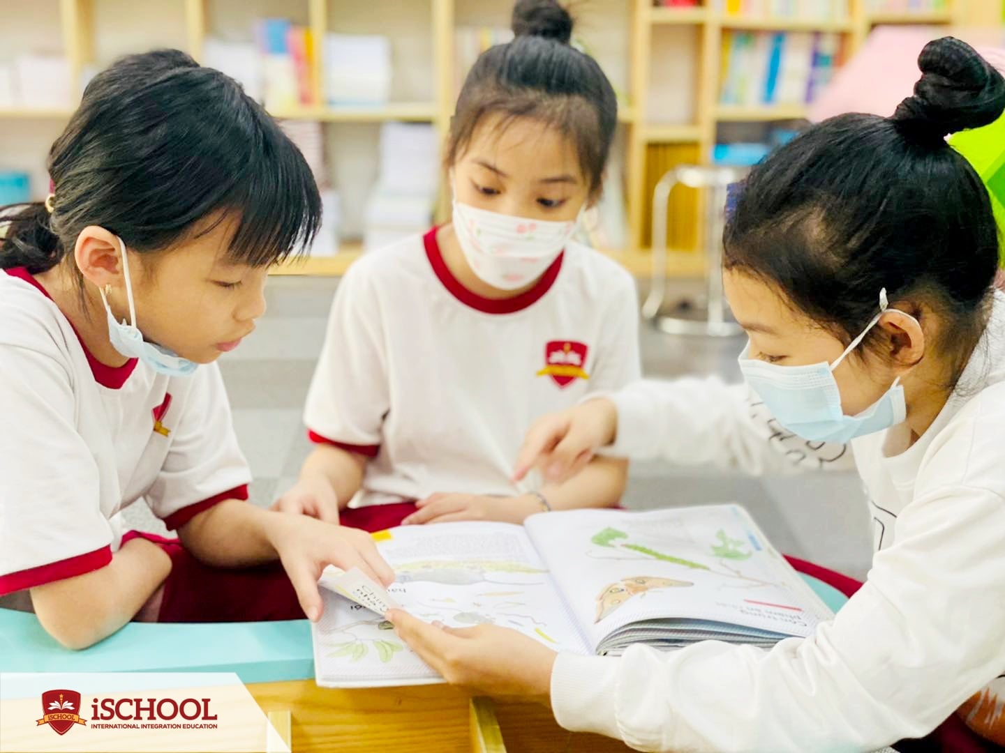 Trường Hội nhập Quốc tế iSchool Cẩm Phả ảnh 3