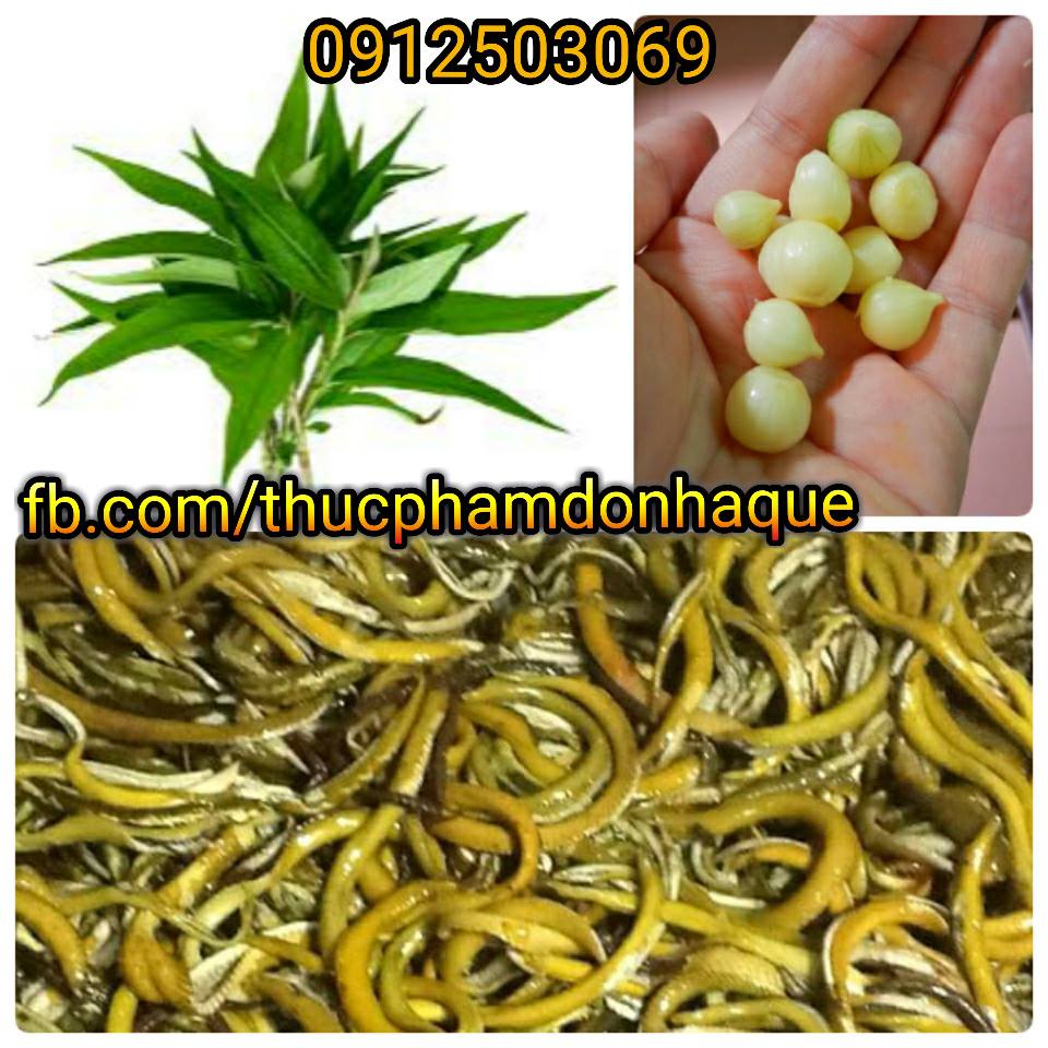 Zuyên Lươn Xứ Nghệ ảnh 3