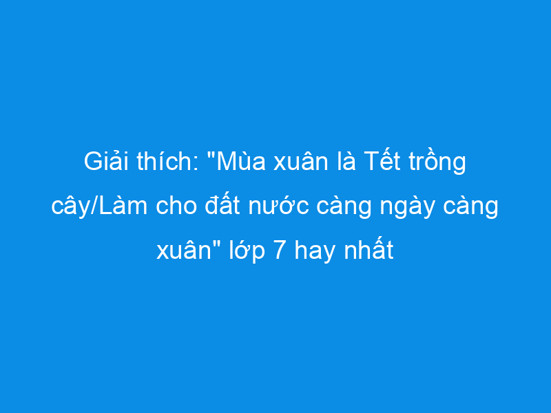 Ảnh minh họa (Nguồn internet) ảnh 1