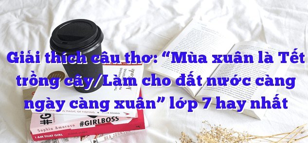 Ảnh minh họa (Nguồn internet) ảnh 1