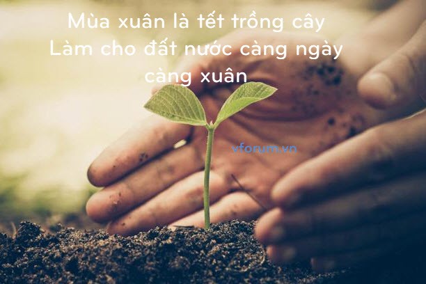 Ảnh minh họa (Nguồn internet) ảnh 1