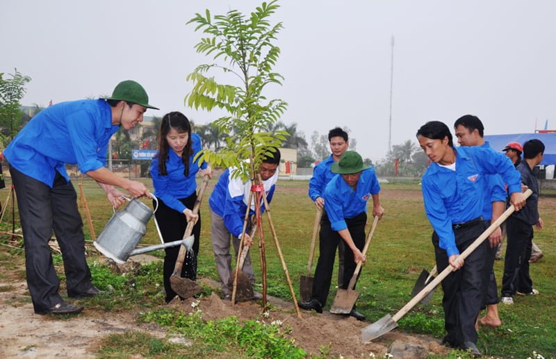 Ảnh minh họa (Nguồn internet) ảnh 1