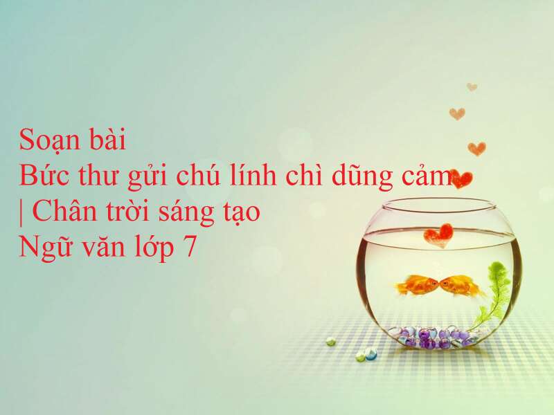 Ảnh minh họa (Nguồn internet) ảnh 1