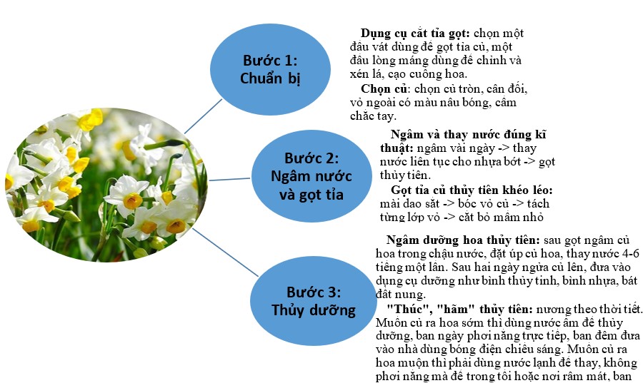 Ảnh minh họa (Nguồn internet) ảnh 1