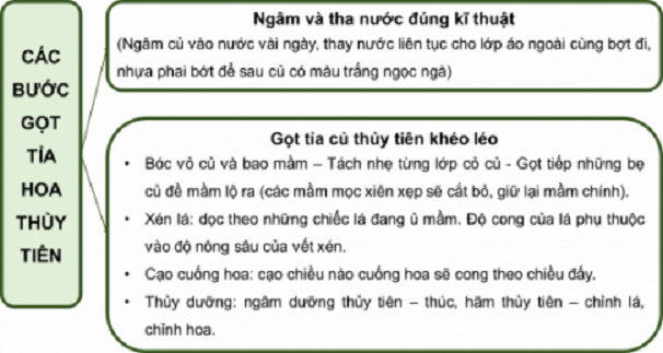 Ảnh minh họa (Nguồn internet) ảnh 1