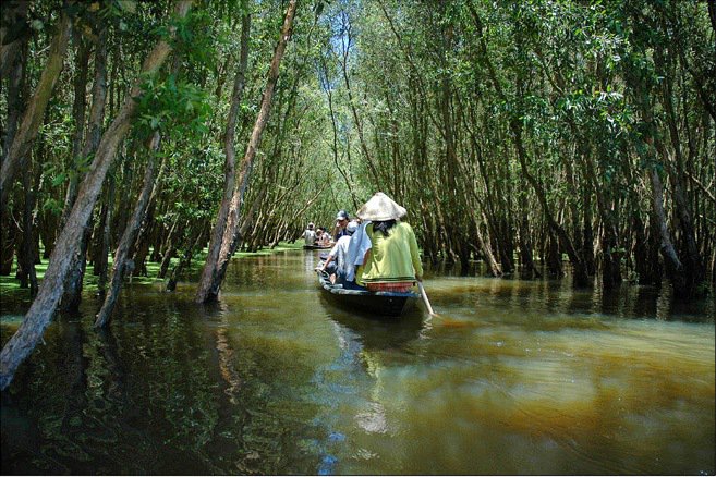 Ảnh minh họa (Nguồn internet) ảnh 1