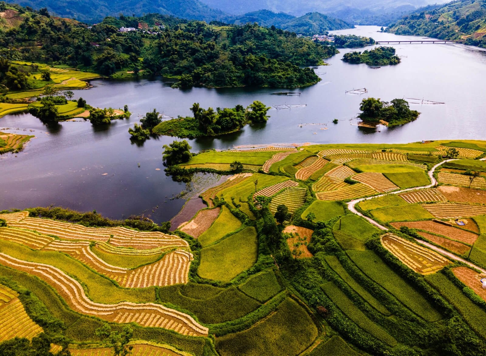 Ảnh minh họa (Nguồn internet) ảnh 1