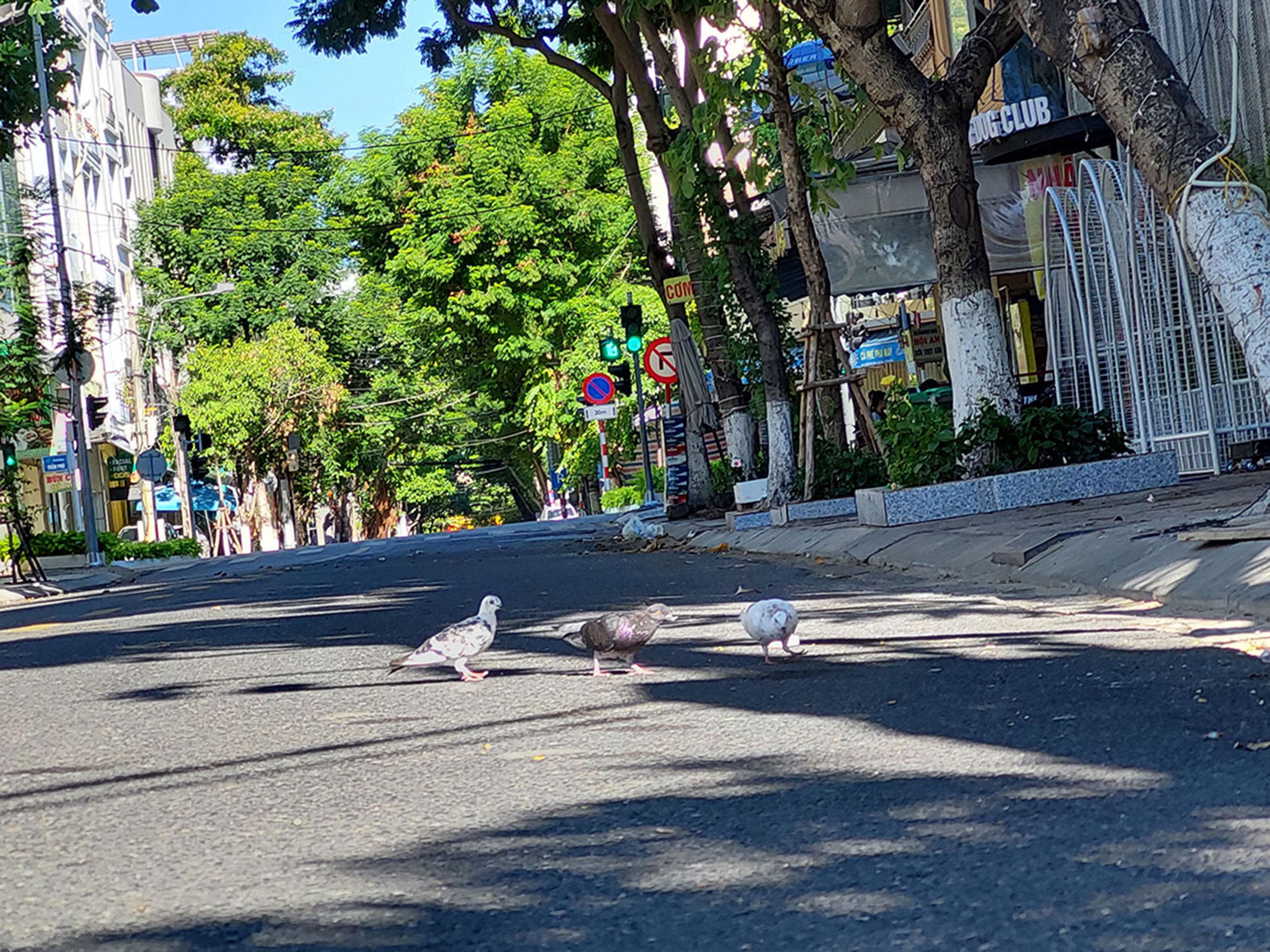 Ảnh minh họa (Nguồn internet) ảnh 1