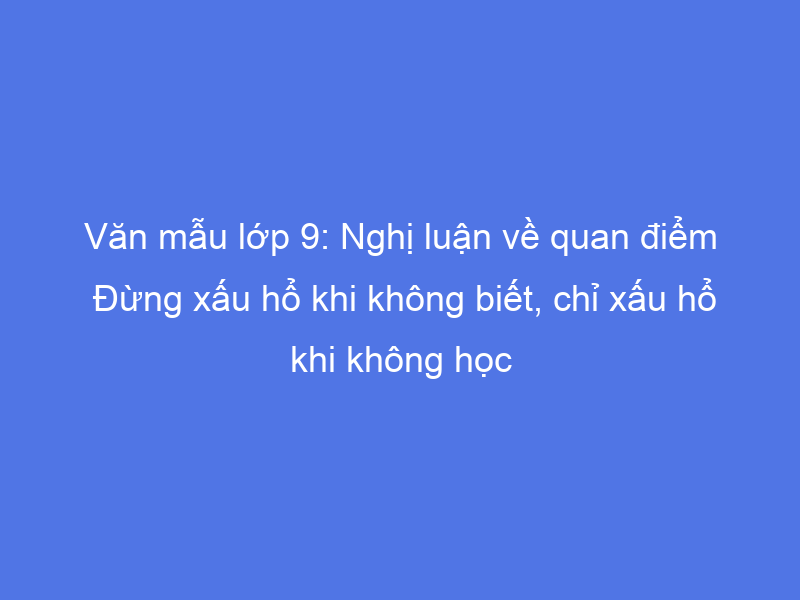 Ảnh minh họa (Nguồn internet) ảnh 1