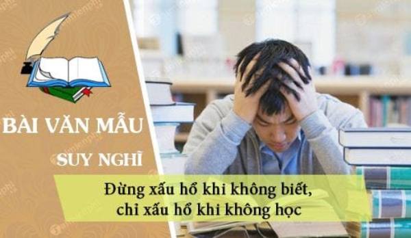 Ảnh minh họa (Nguồn internet) ảnh 1