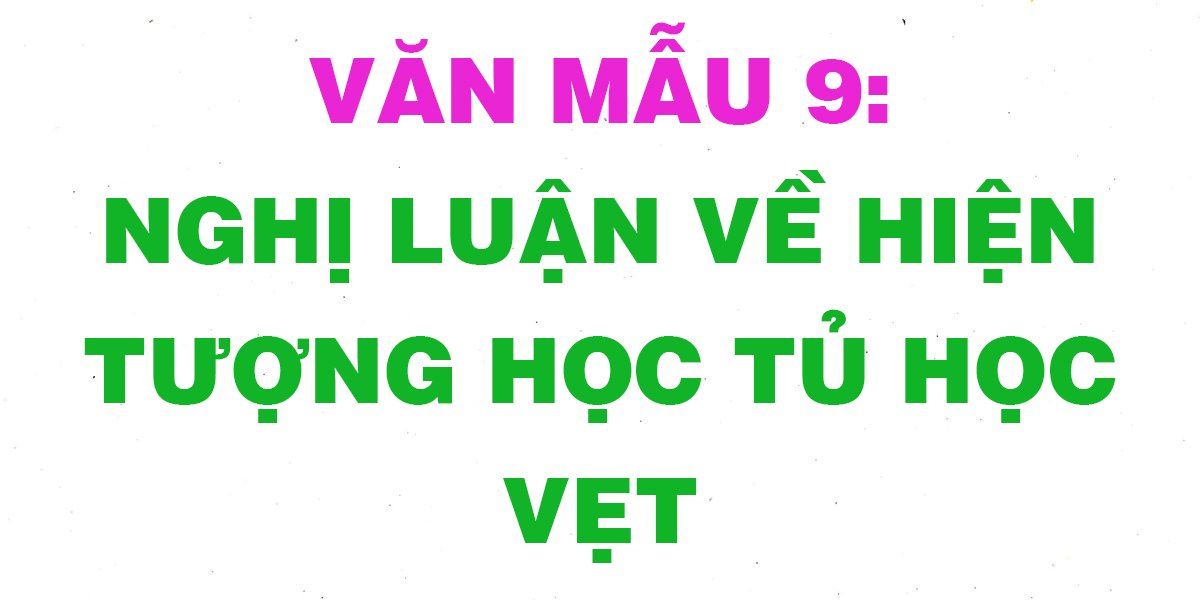 Ảnh minh họa (Nguồn internet) ảnh 1