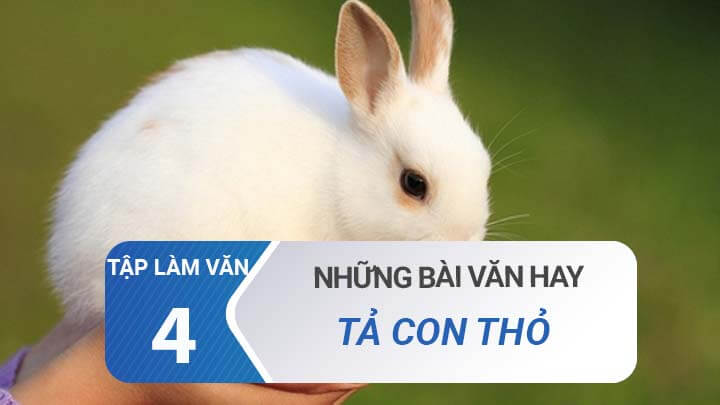 Bài văn tả con thỏ (lớp 4) hay nhất