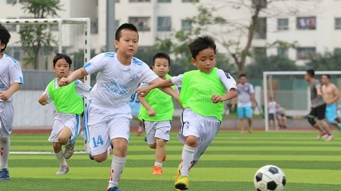 Ảnh minh họa (Nguồn internet) ảnh 1