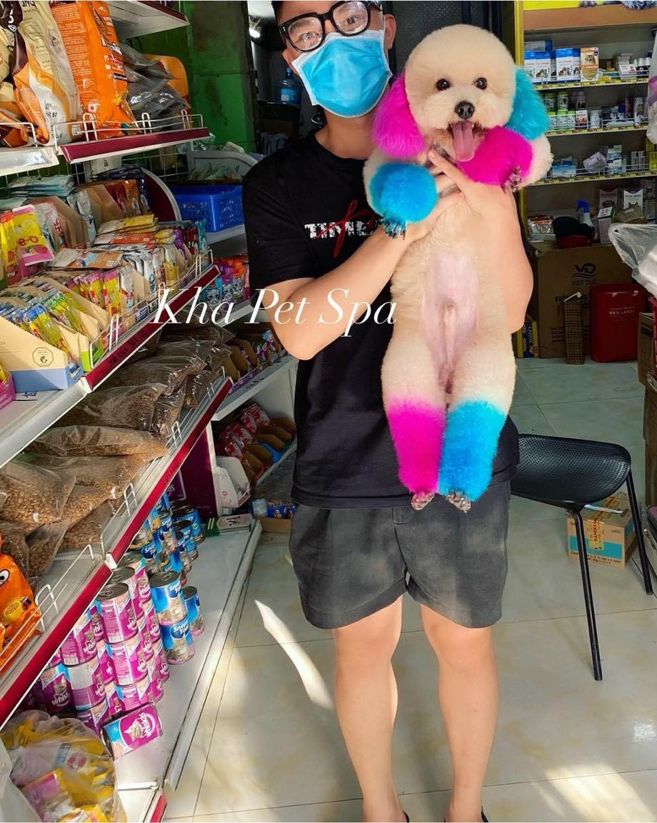 KHA PET SHOP ảnh 2