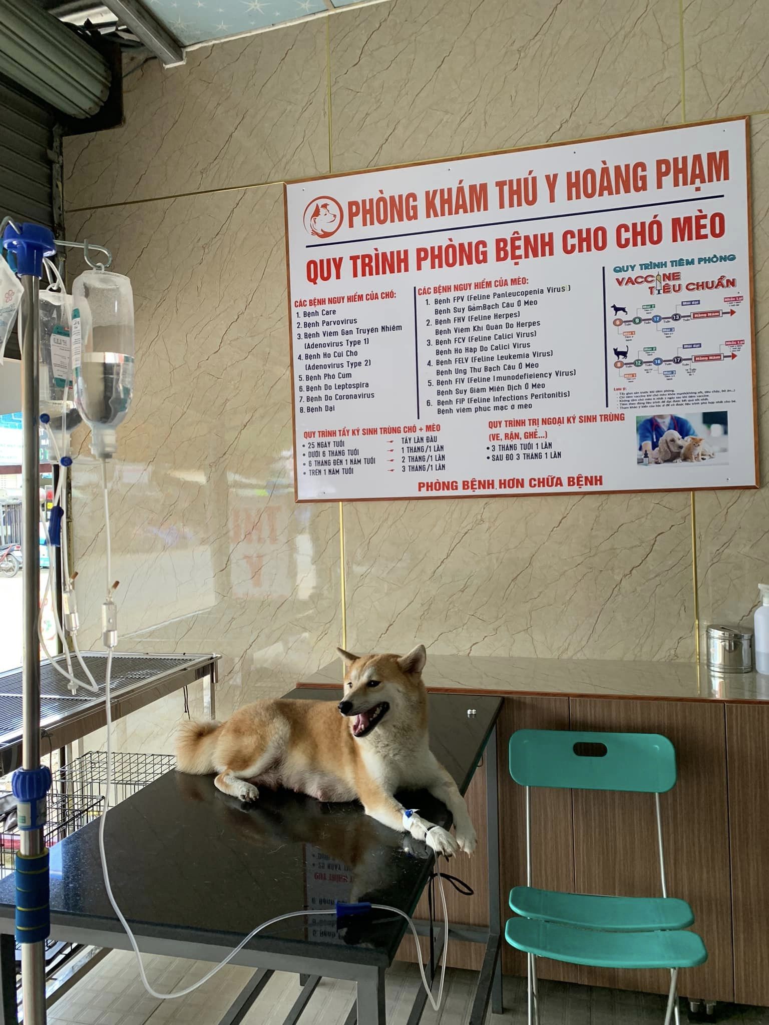 Phòng Khám Thú Y Hoàng Phạm ảnh 2