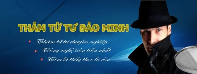 Thám tử tư Bảo Minh ảnh 1