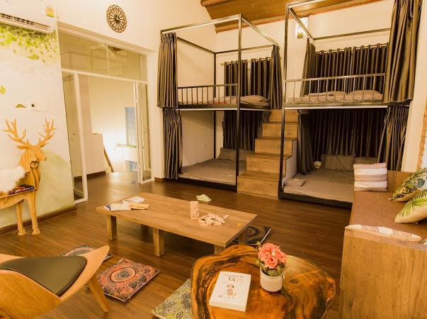 The Leaf Homestay Hạ Long ảnh 3