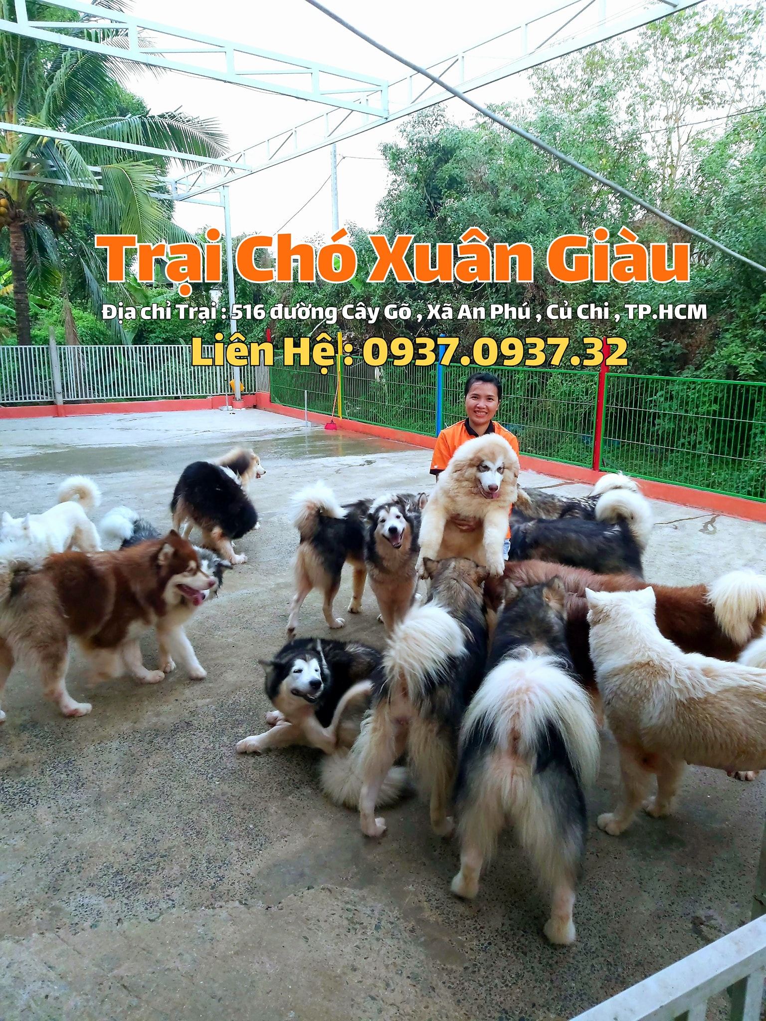 Trại Chó Xuân Giàu ảnh 2