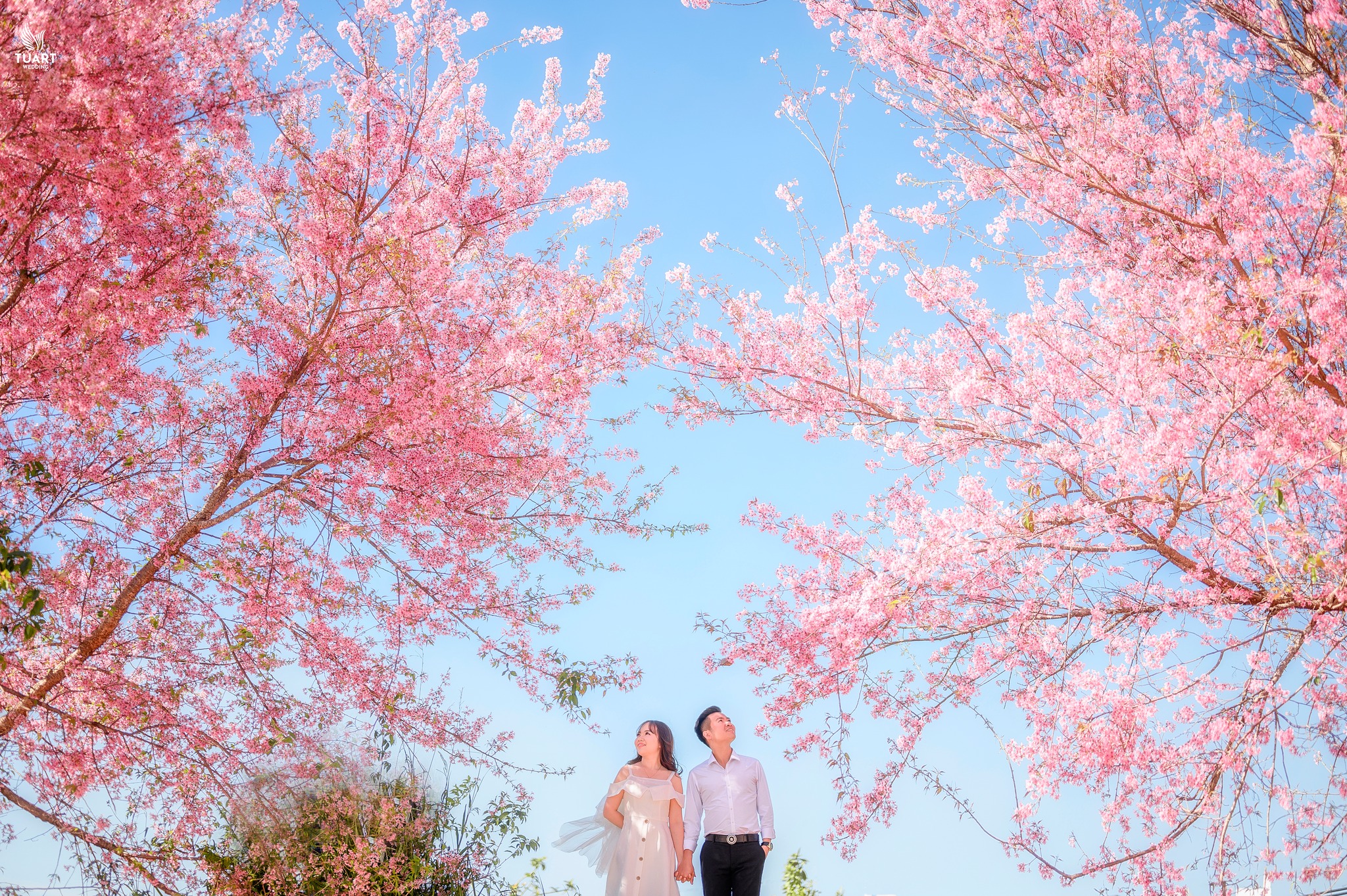 TuArt Wedding - Da Lat ảnh 2